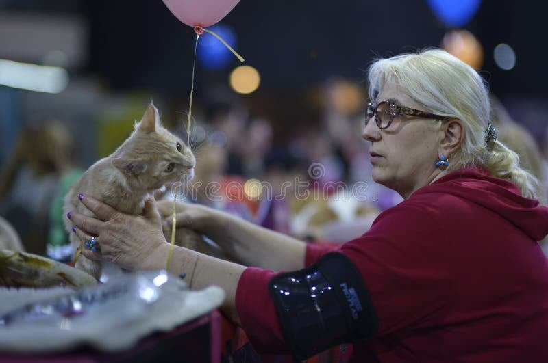 A Royal Cat Show Extravaganza 3