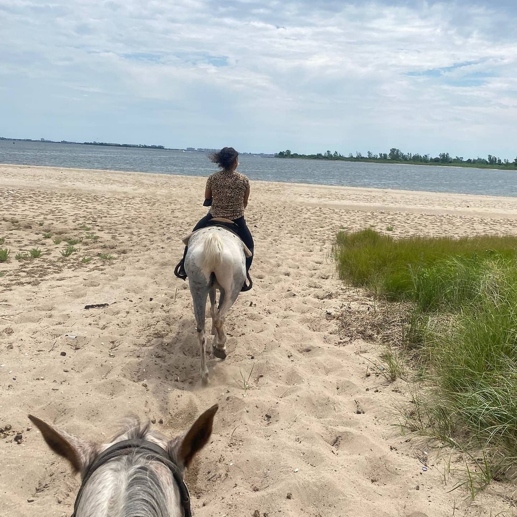 Jamaica Bay Riding Academy 1