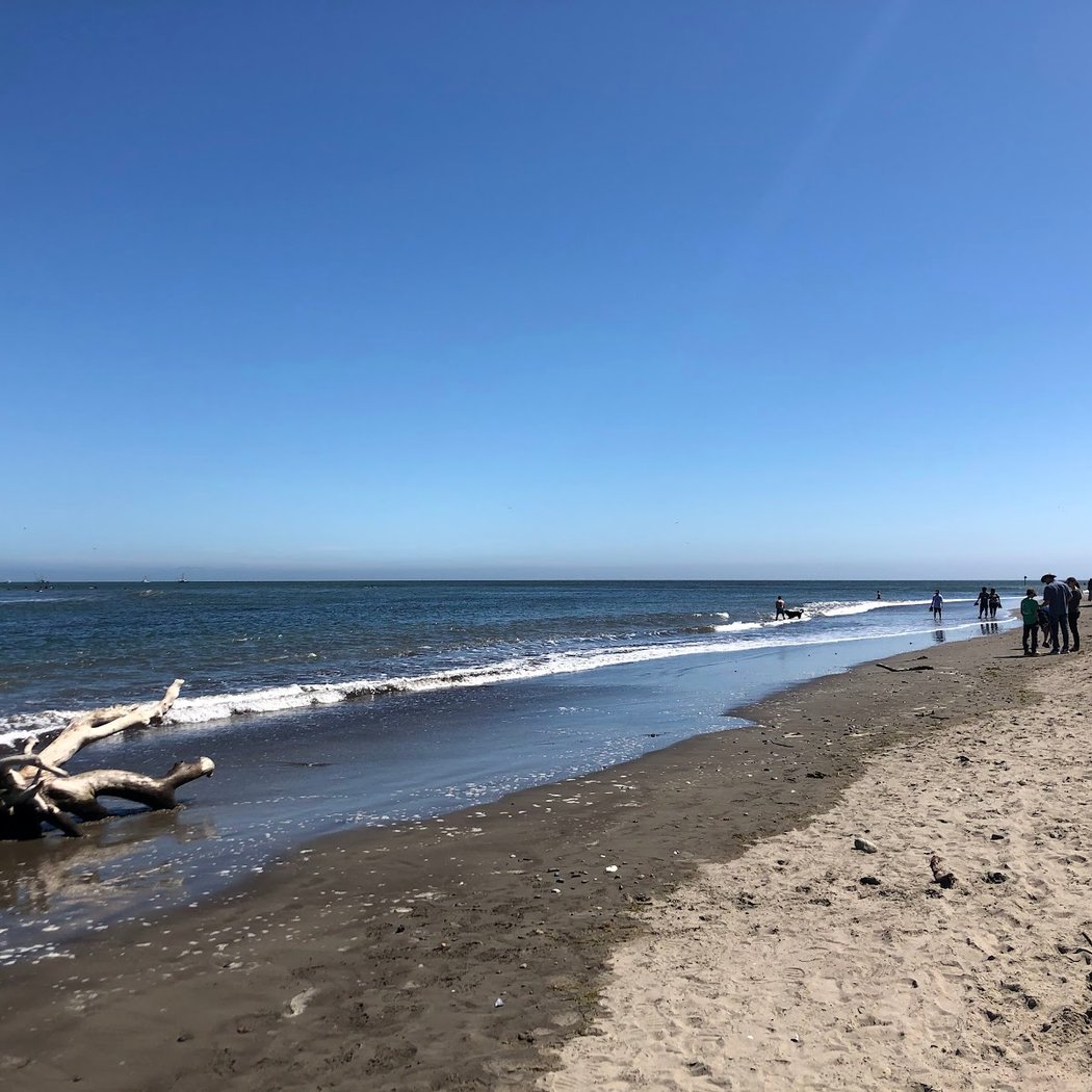 Bolinas Beach 2