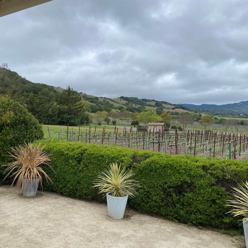 Dunstan Wines - Durell Vineyard 3