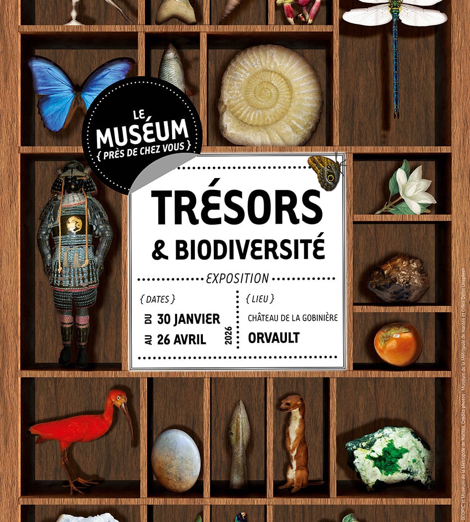 Muséum : Expositions 1