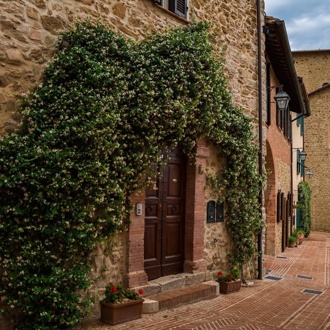 Solomeo 1