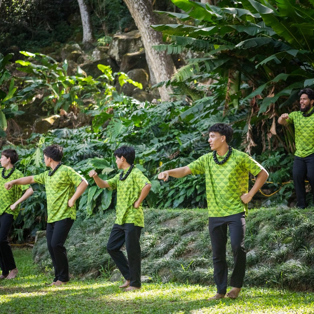 Kaʻaha Hula I Waimea 3