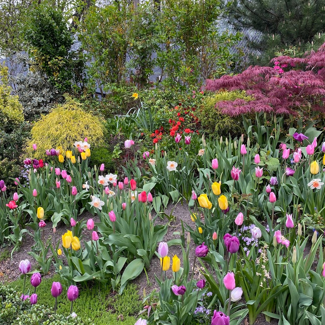 Ridgewood Garden 1