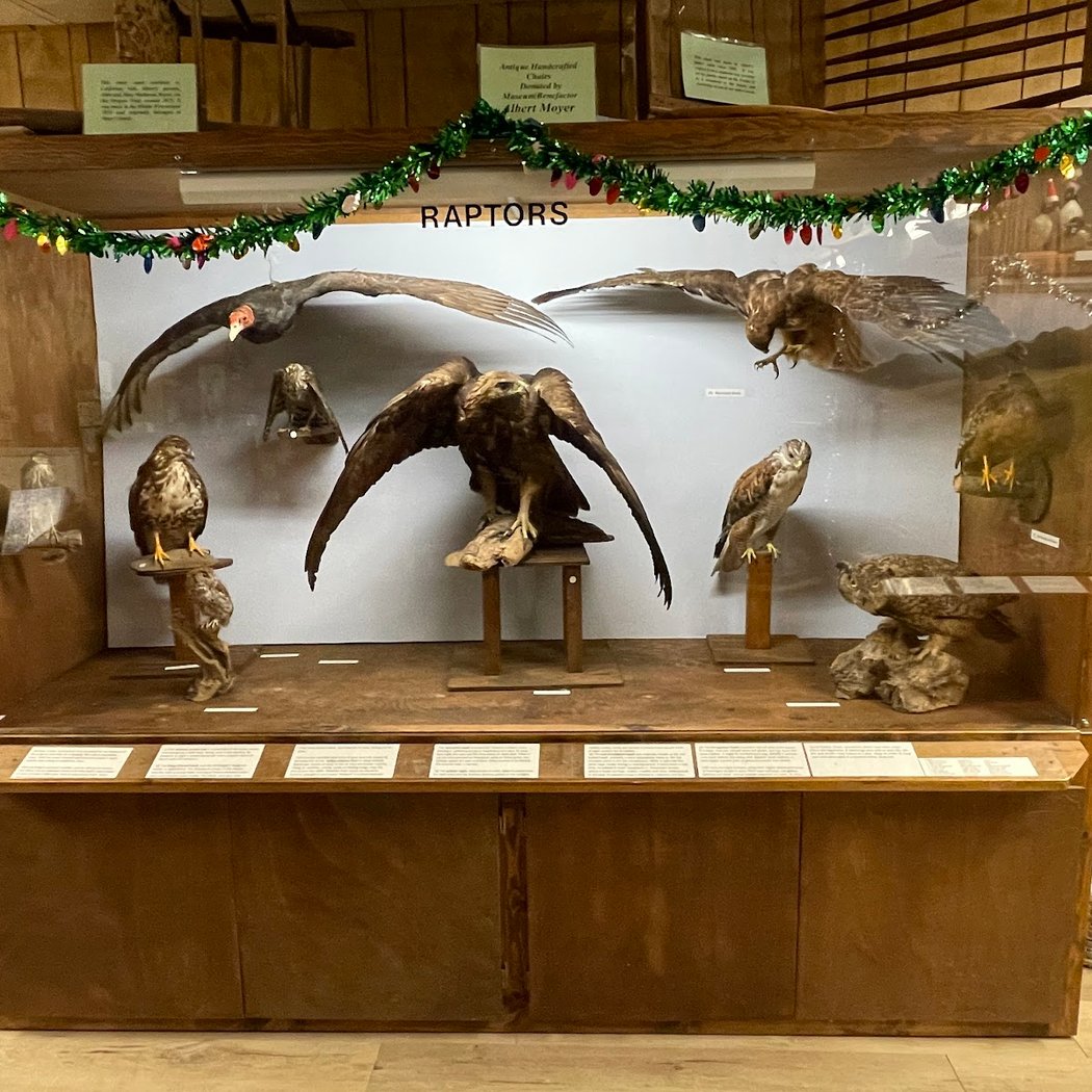 Carolyn Parr Nature Center 1
