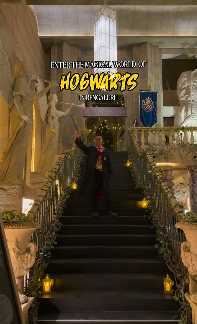 Hogwarts and Harry Potter Themed Experience 4