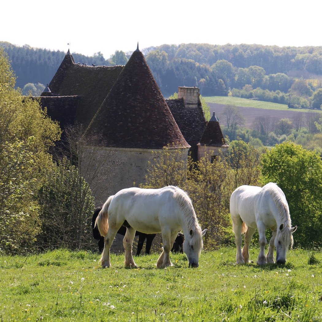 Maison du Parc du Perche - Manoir de Courboyer 1