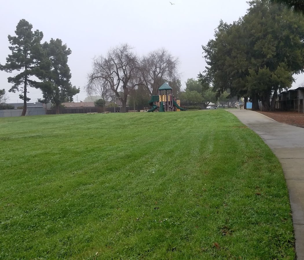 Patterson Park 3