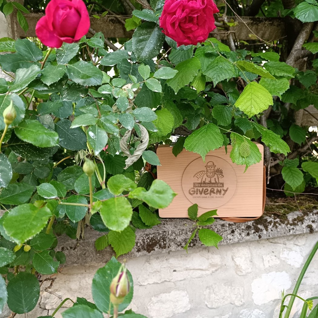 Les énigmes de Giverny 3
