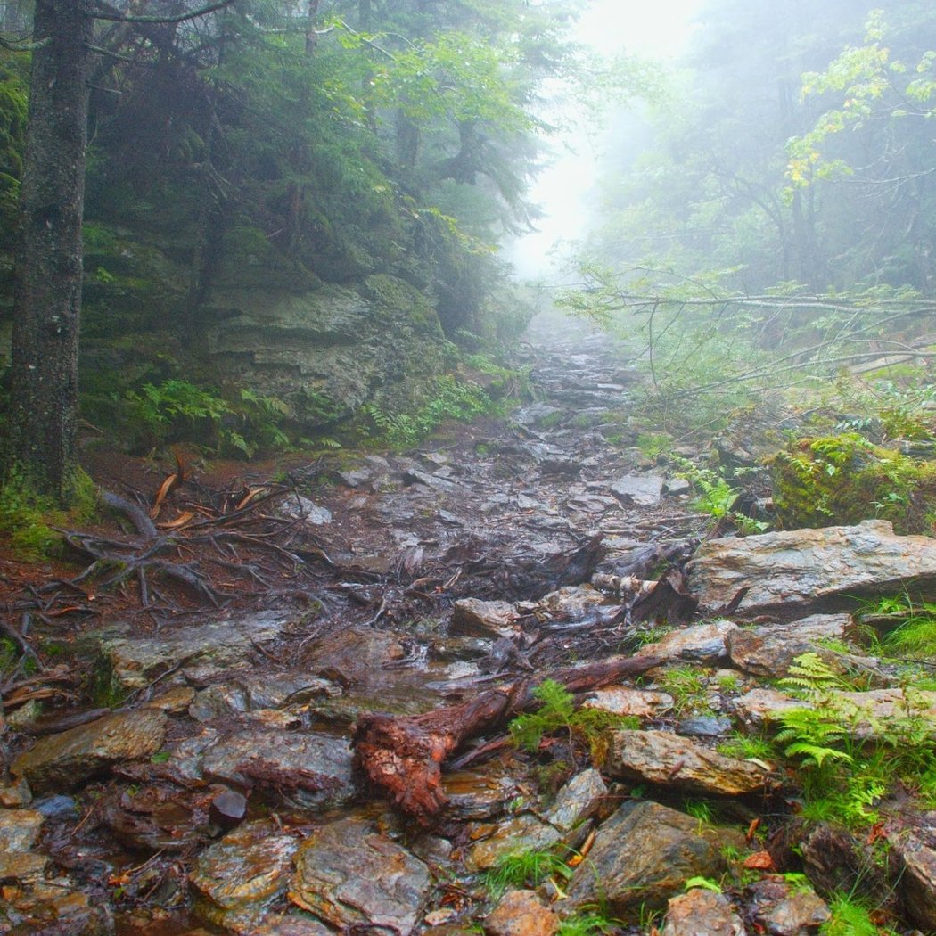 Green Mountains 1
