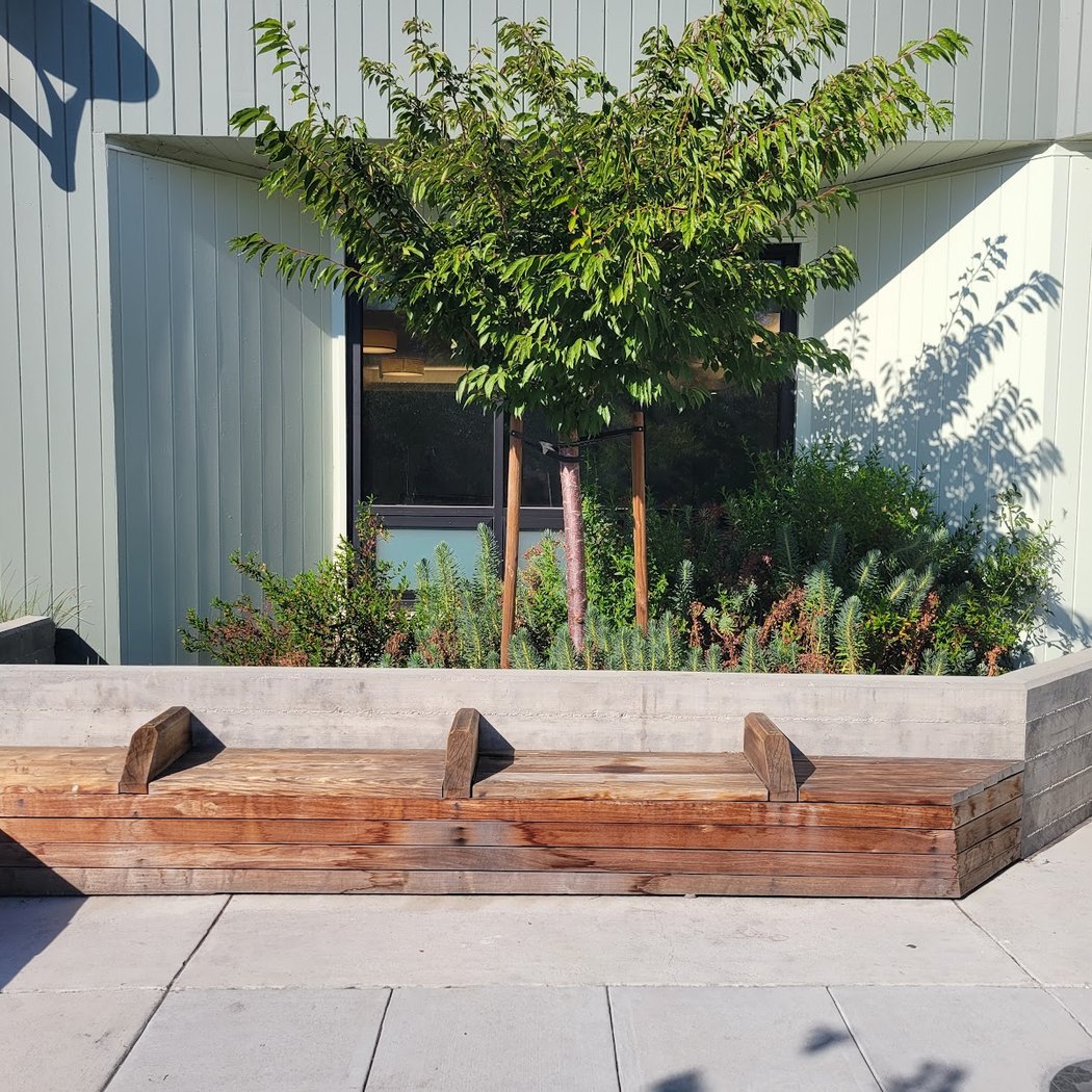 South Berkeley Senior Center Renovations 2
