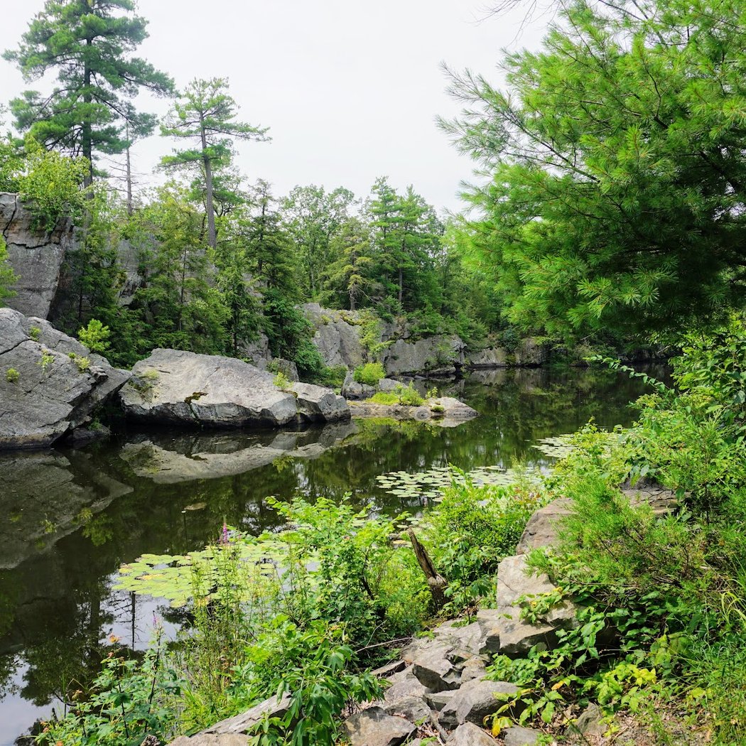 Spring Trail Cleanup 1
