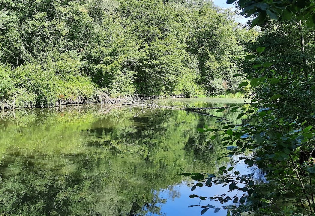 Les Vaux de Cernay 5