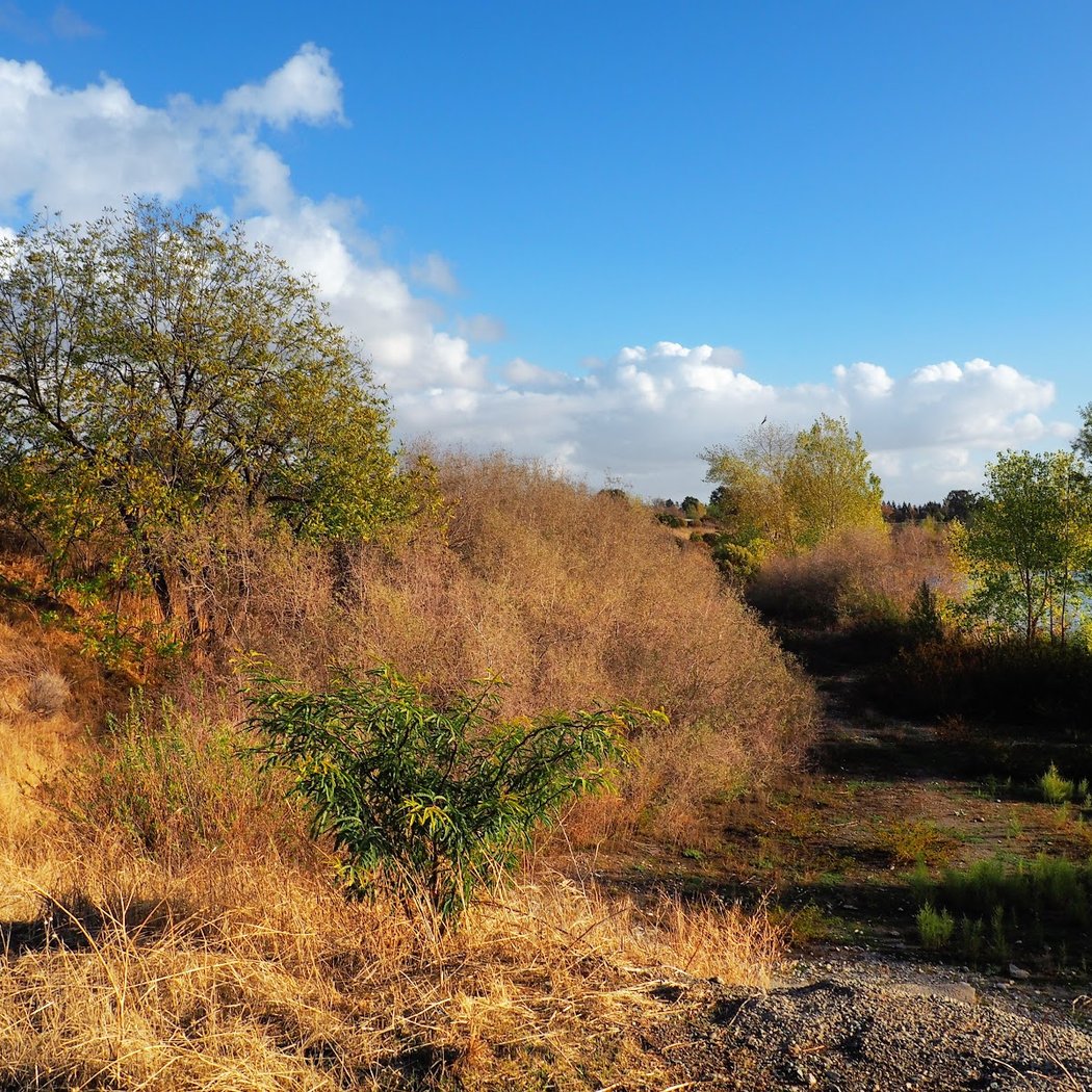 Western Pacific Trail 3