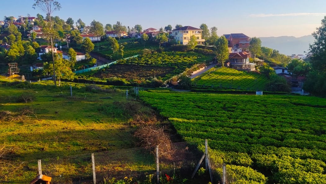 Ooty 2