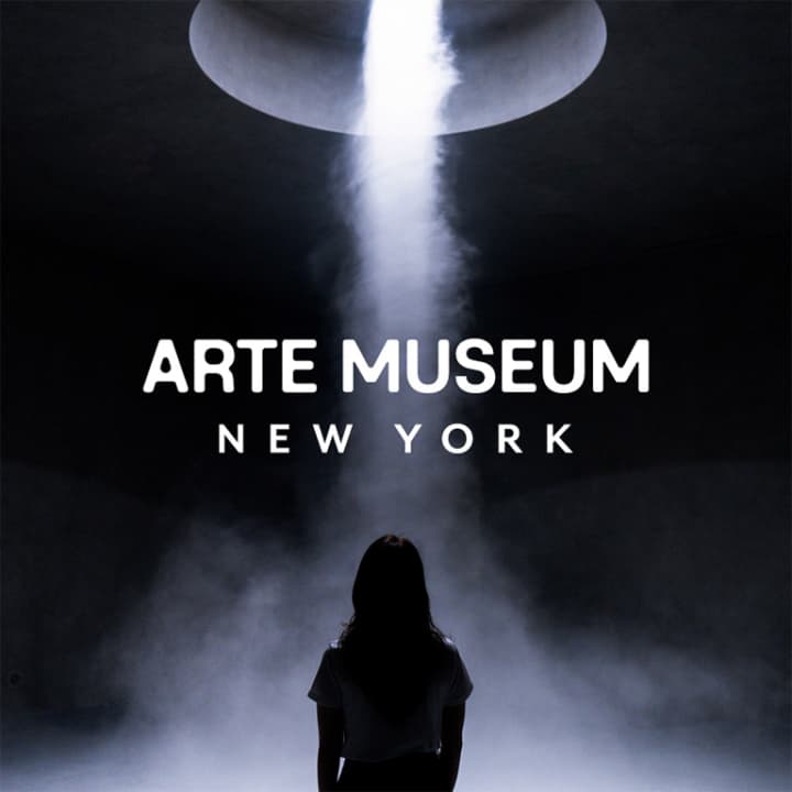 Arte Museum New York 1