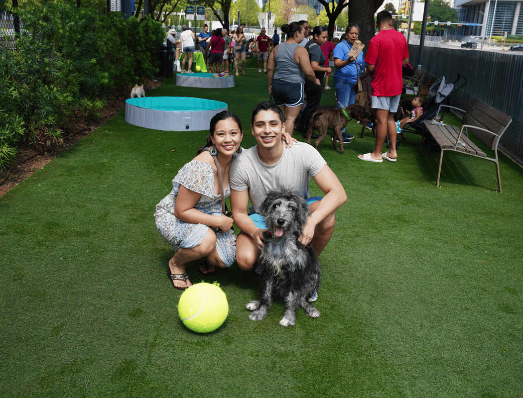 Bark in the Park 1