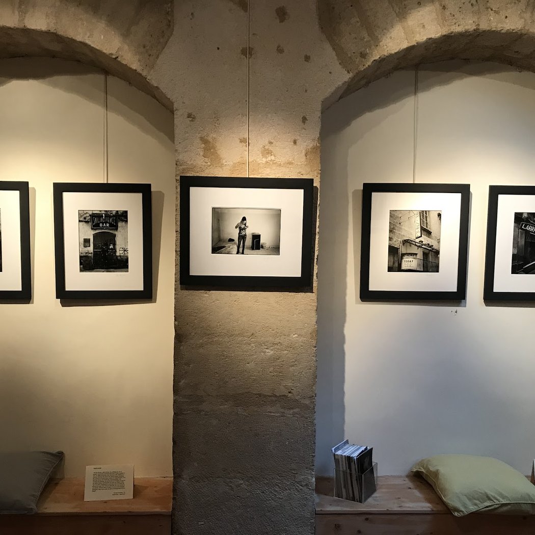 Entre chien et flou – Daniel Anizon Exhibition 5