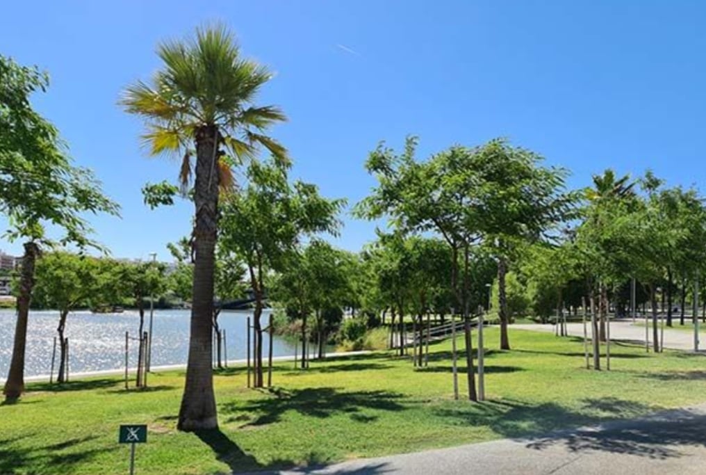 Parque Fernando Magallanes 3