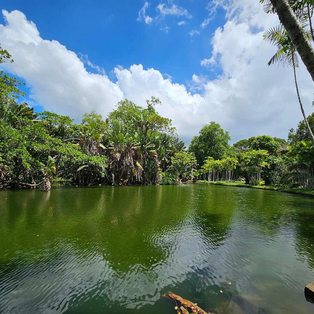 Pamplemousses Garden 2