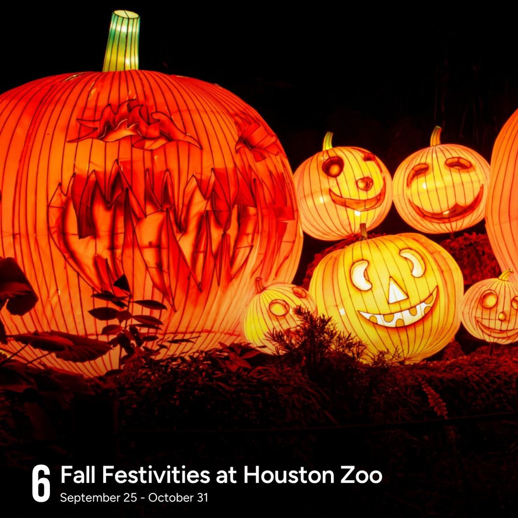 Fall Festivities