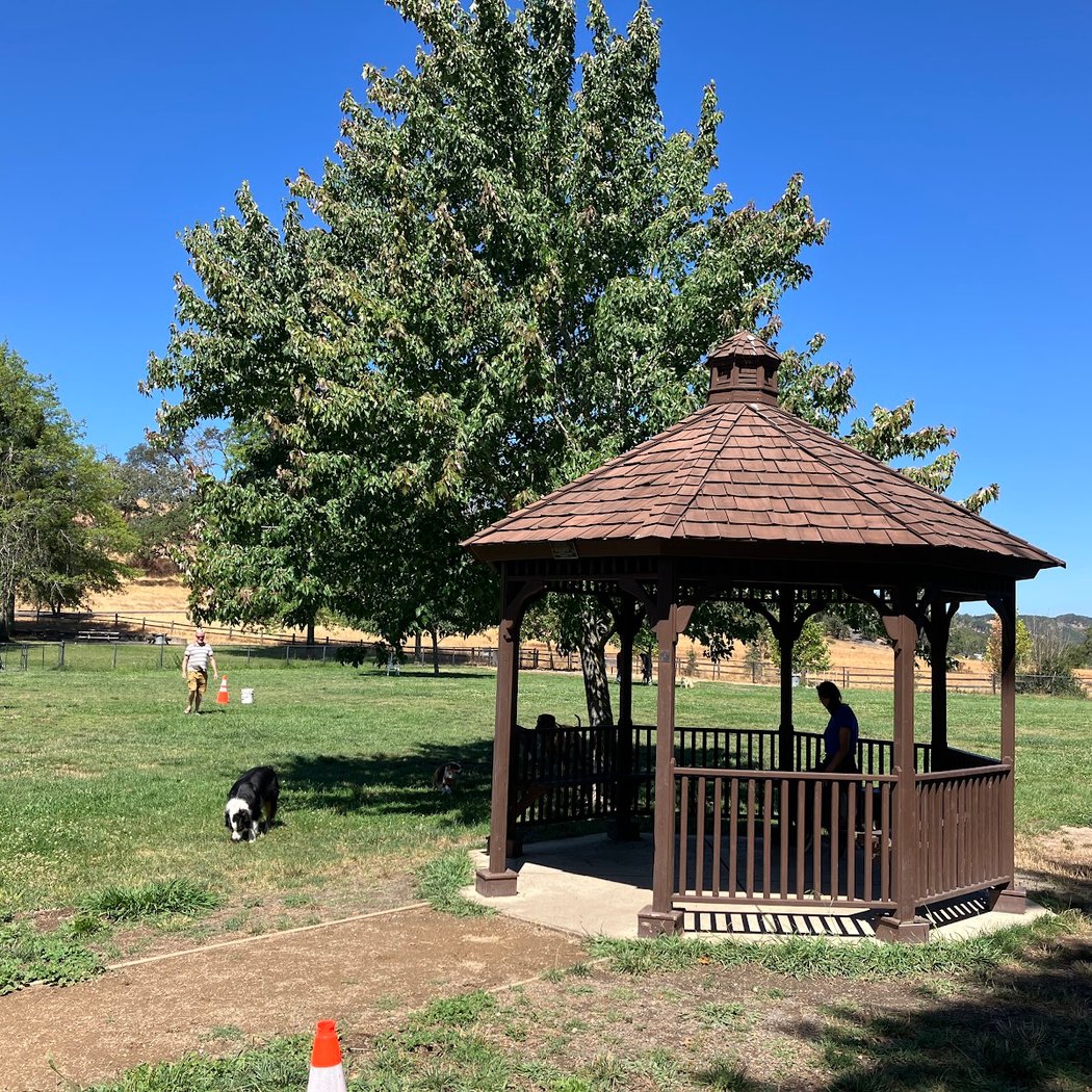 Liz Perrone Dog Park 1