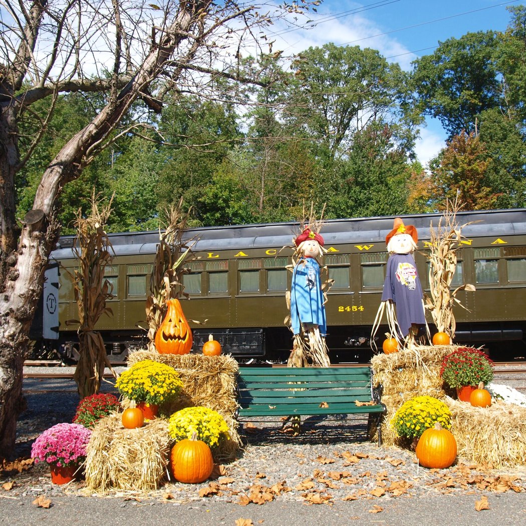 Pumpkin Patch Express 3