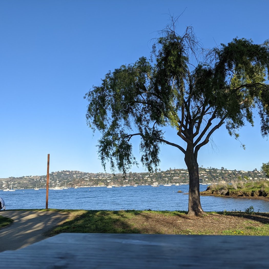 Sausalito Farmers Market 1