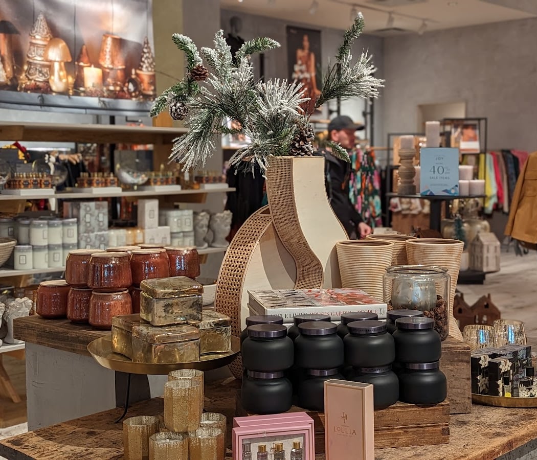 Anthropologie 1