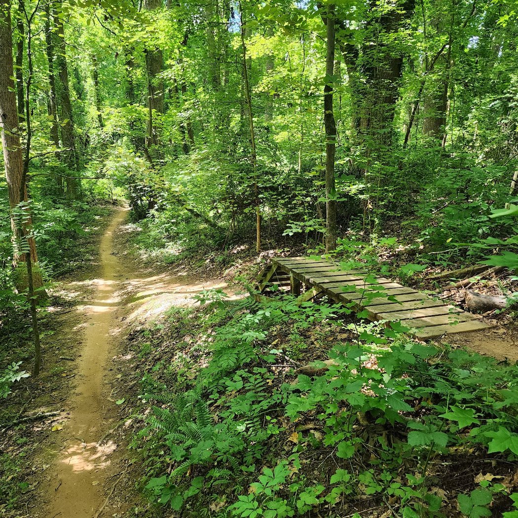 Sherman Branch Nature Preserve 1