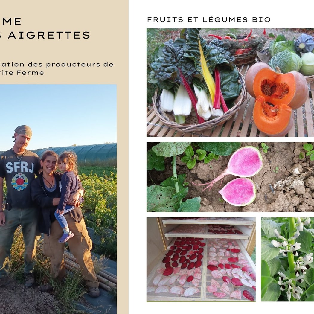 La Petite Ferme Villeneuve sur lot 1