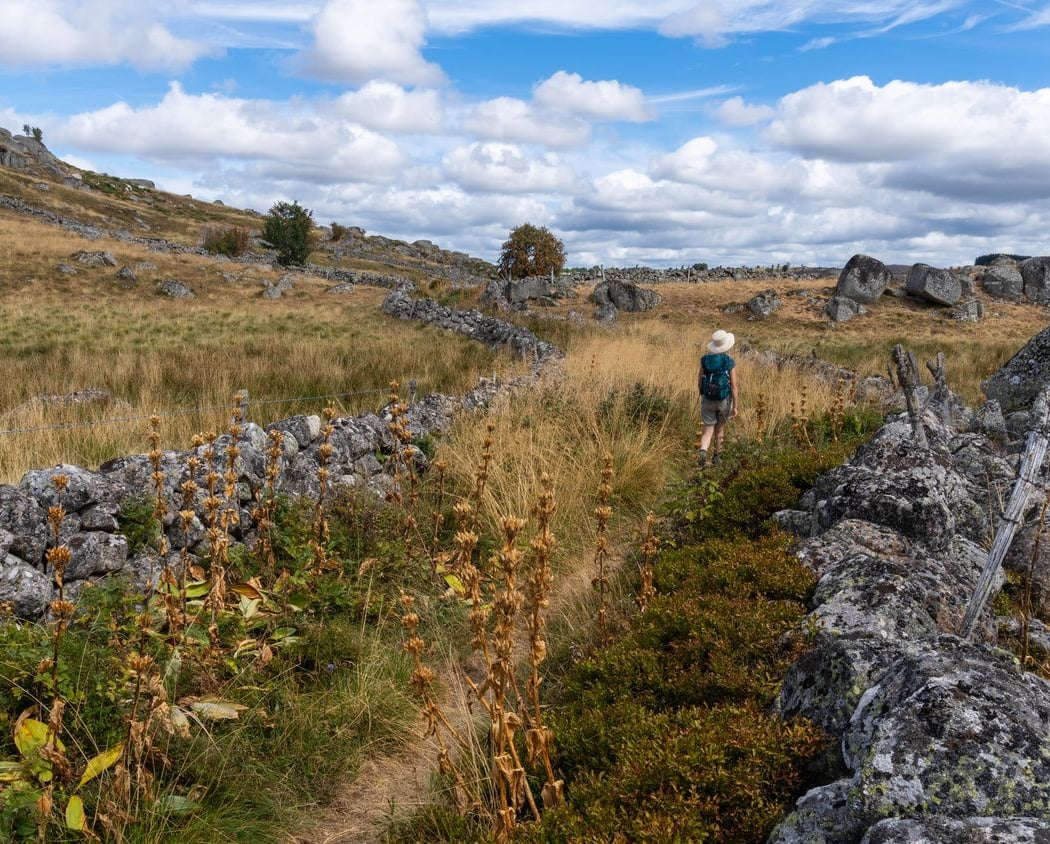 Tour des Monts Aubrac (Lozère-Aveyron-Cantal) 1