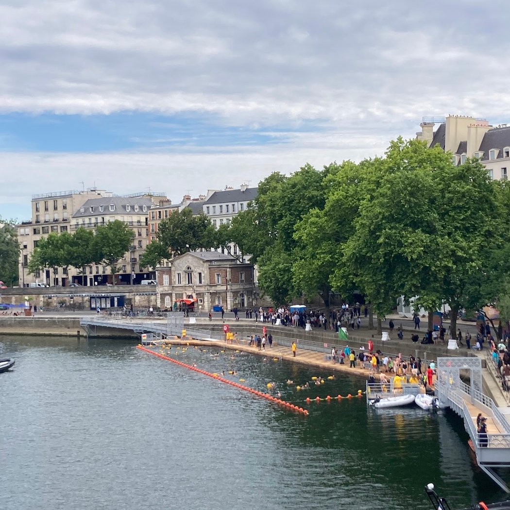 Swimming in the Seine 2