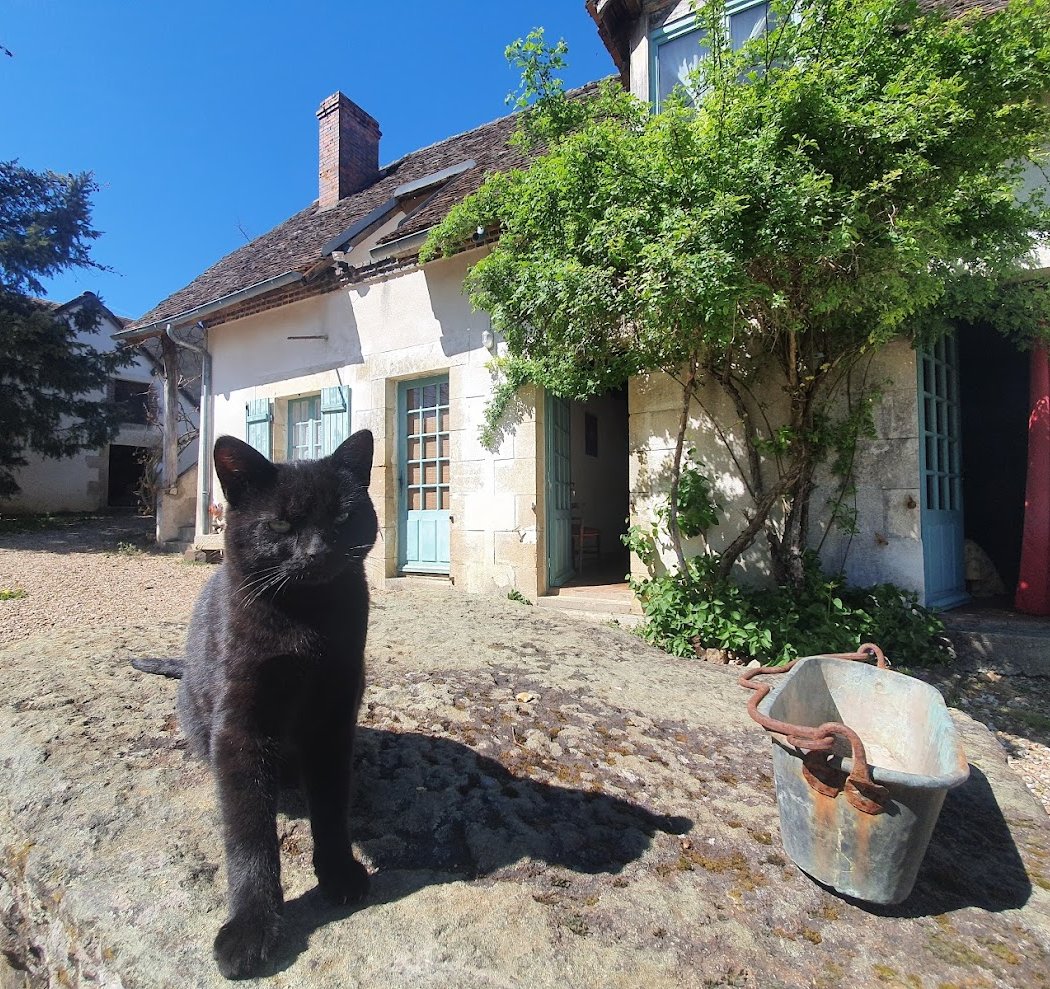 Ferme Equestre et chambres d'hôtes Gateau Stables près Guédelon 2