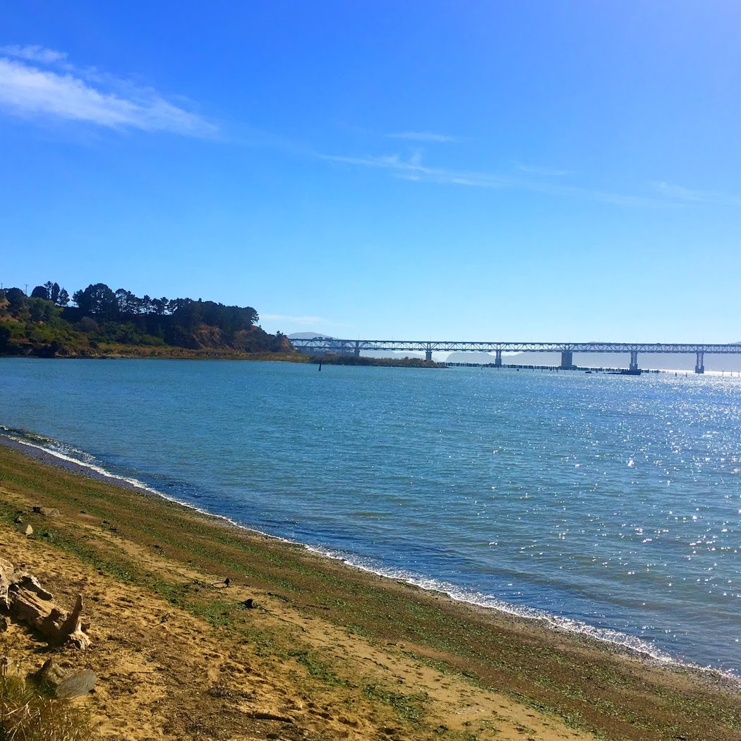 Point Molate Beach Park 1