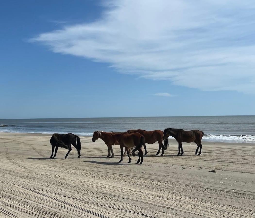 Corolla Beach 3