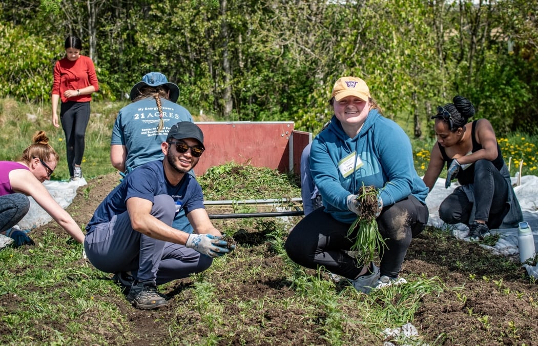 Volunteering: Farm Stewardship 2