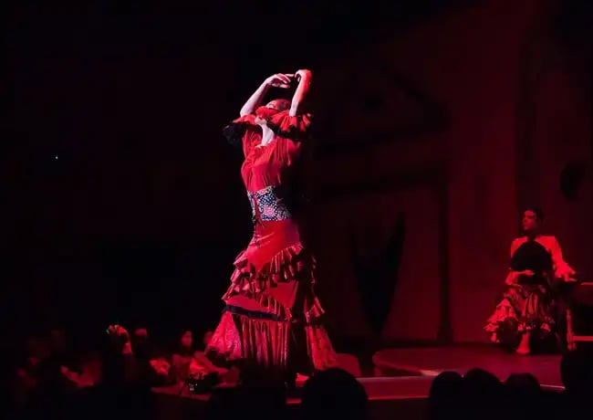 Tablao Flamenco El Palacio Andaluz 2
