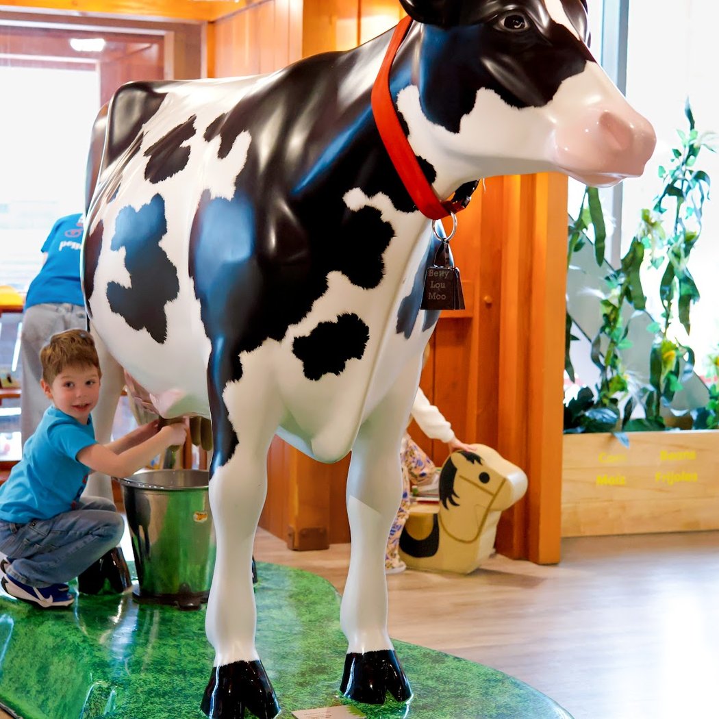 Explore & More - The Ralph C. Wilson, Jr. Children's Museum 1