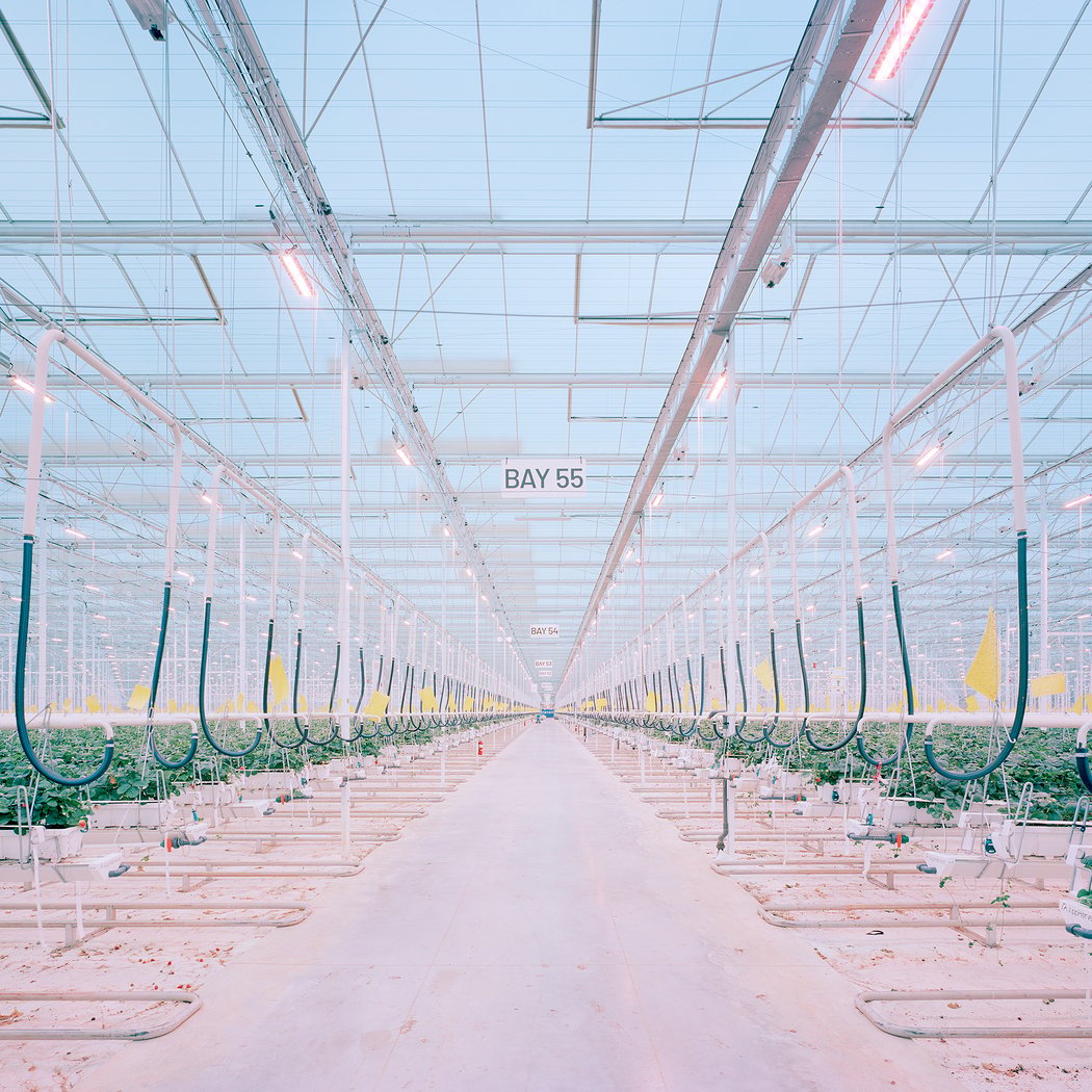 A(R)TALK 12: Food for the Future 1