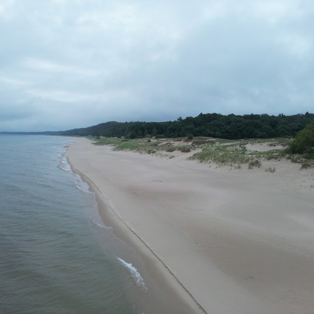 Nordhouse Dunes Wilderness Area 3