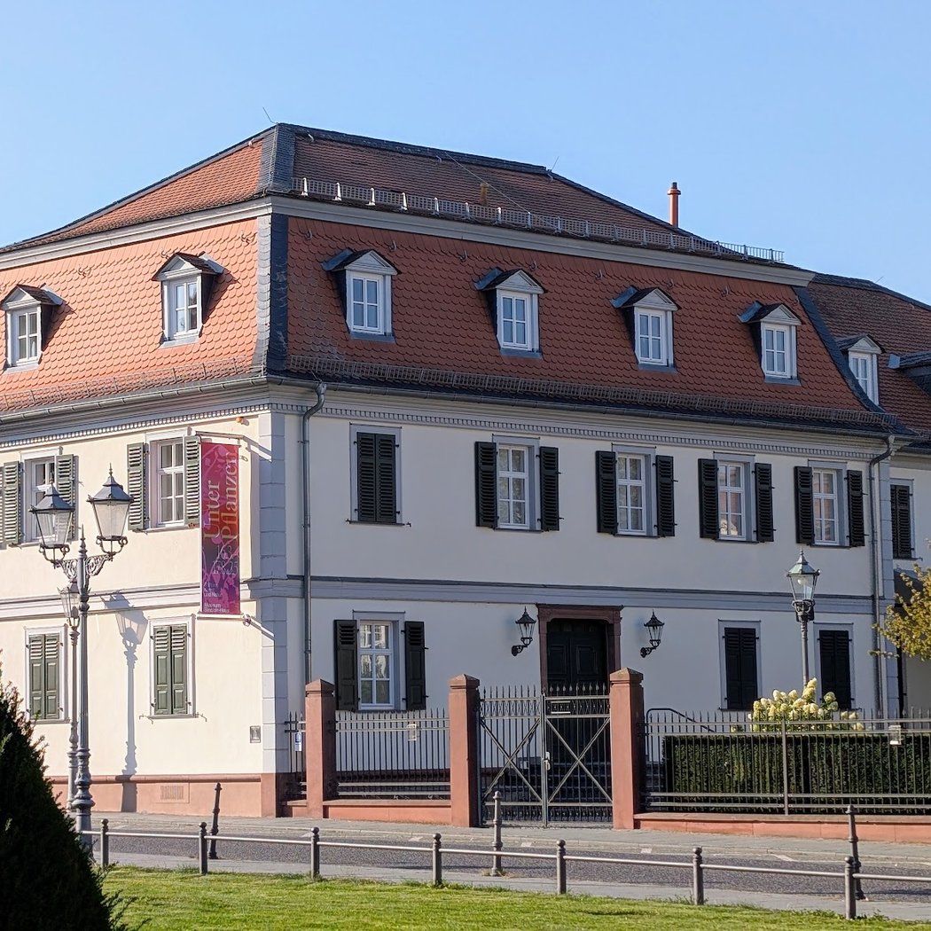 Unter Pflanzen 2