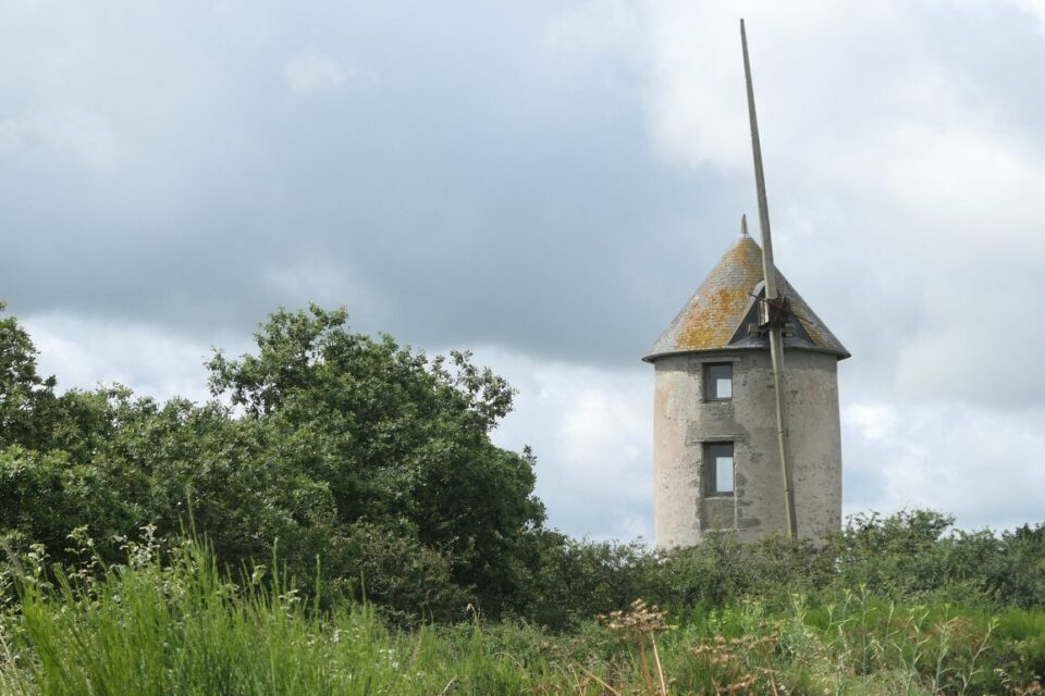 Moulin Marchand 3