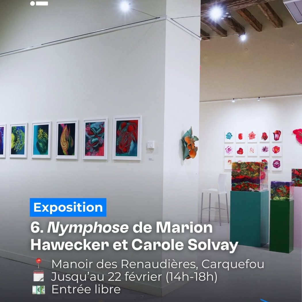 Nymphose 3