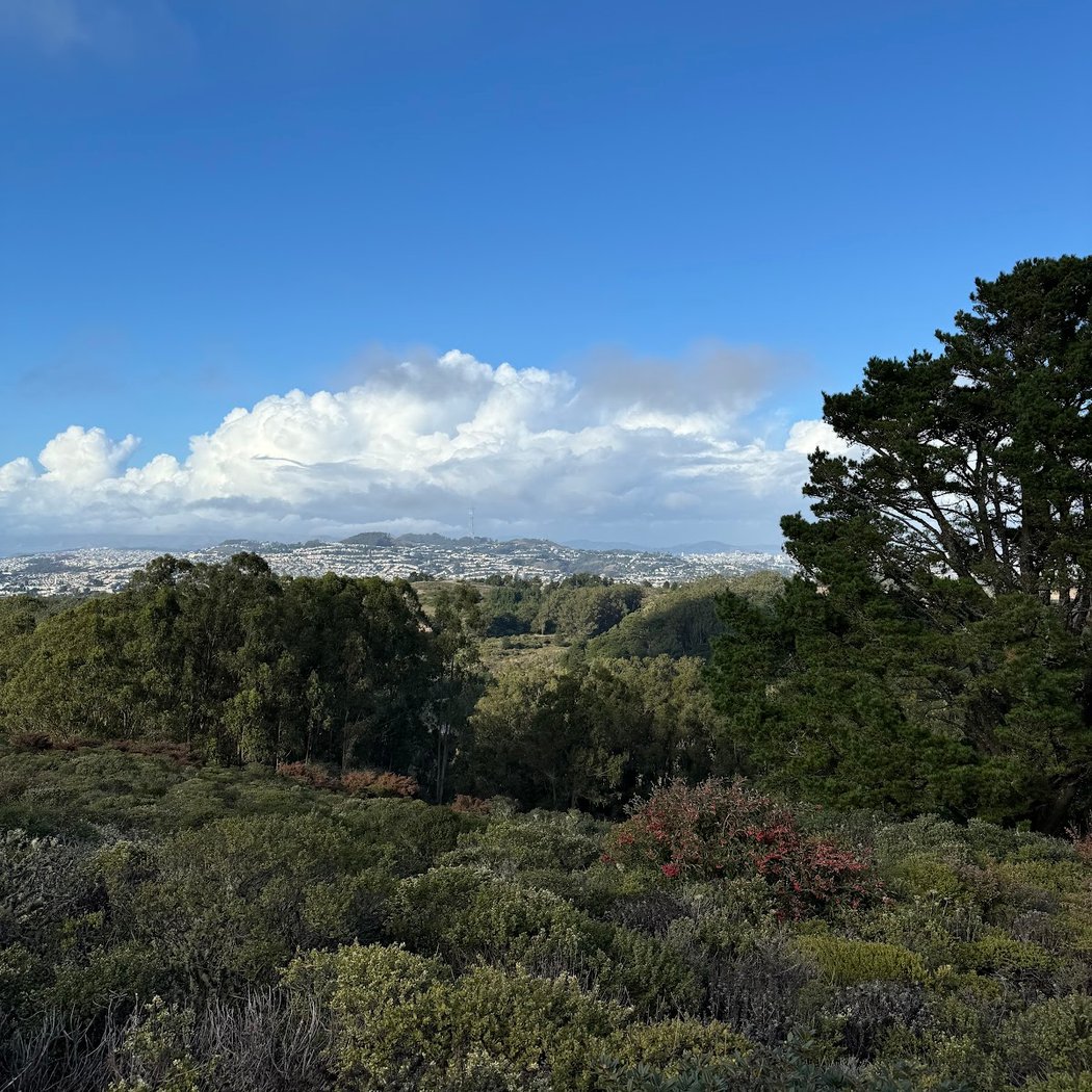 Summit Loop Trail, San Bruno Mountain 2