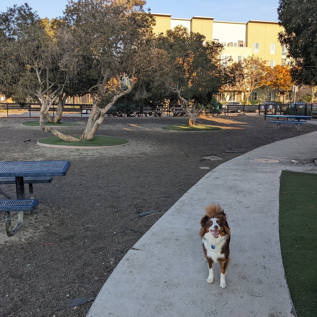 Mission Creek Dog Park 1