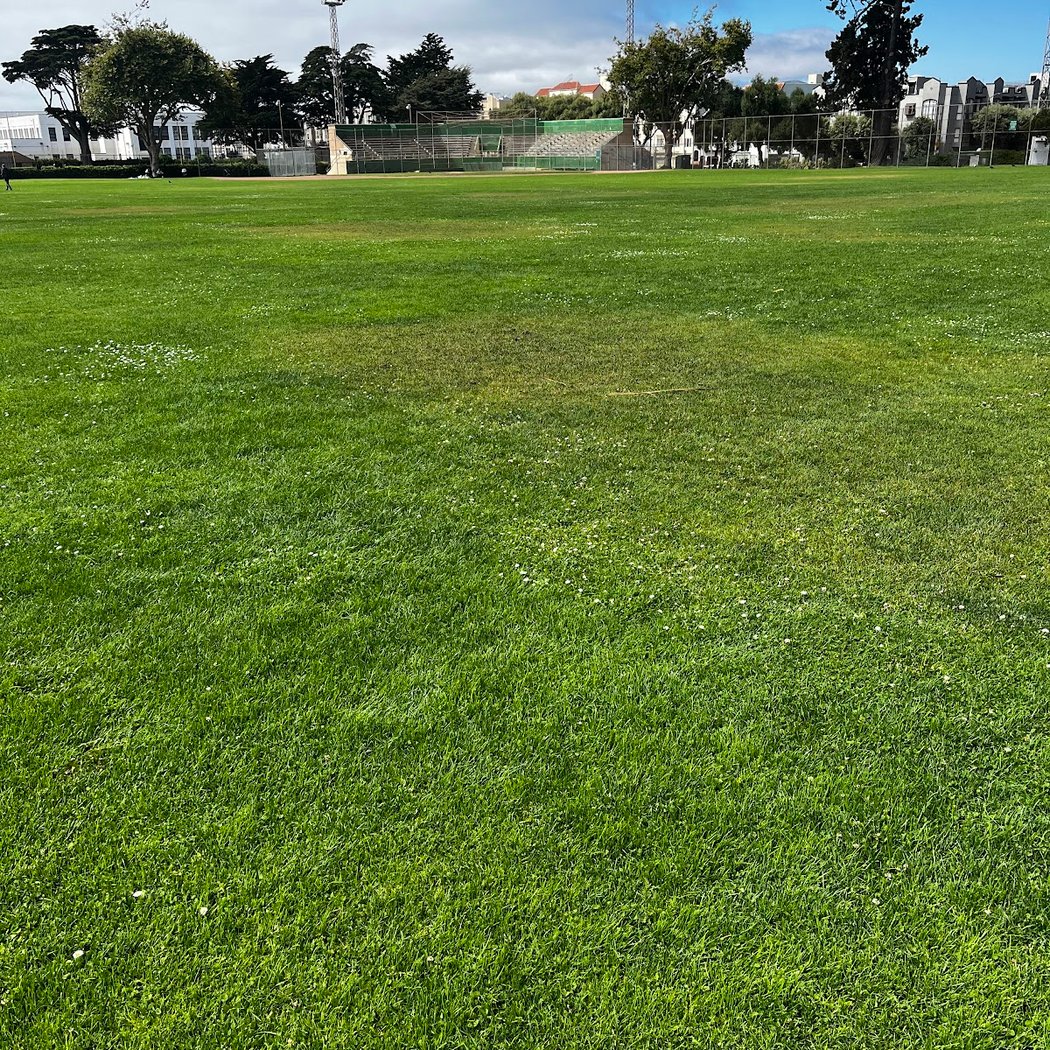 Moscone Softball Fields 2
