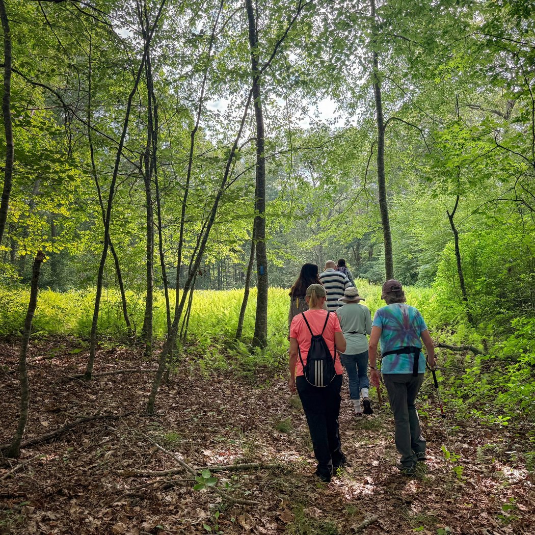Weekly Wanderers Trail Meetup 2