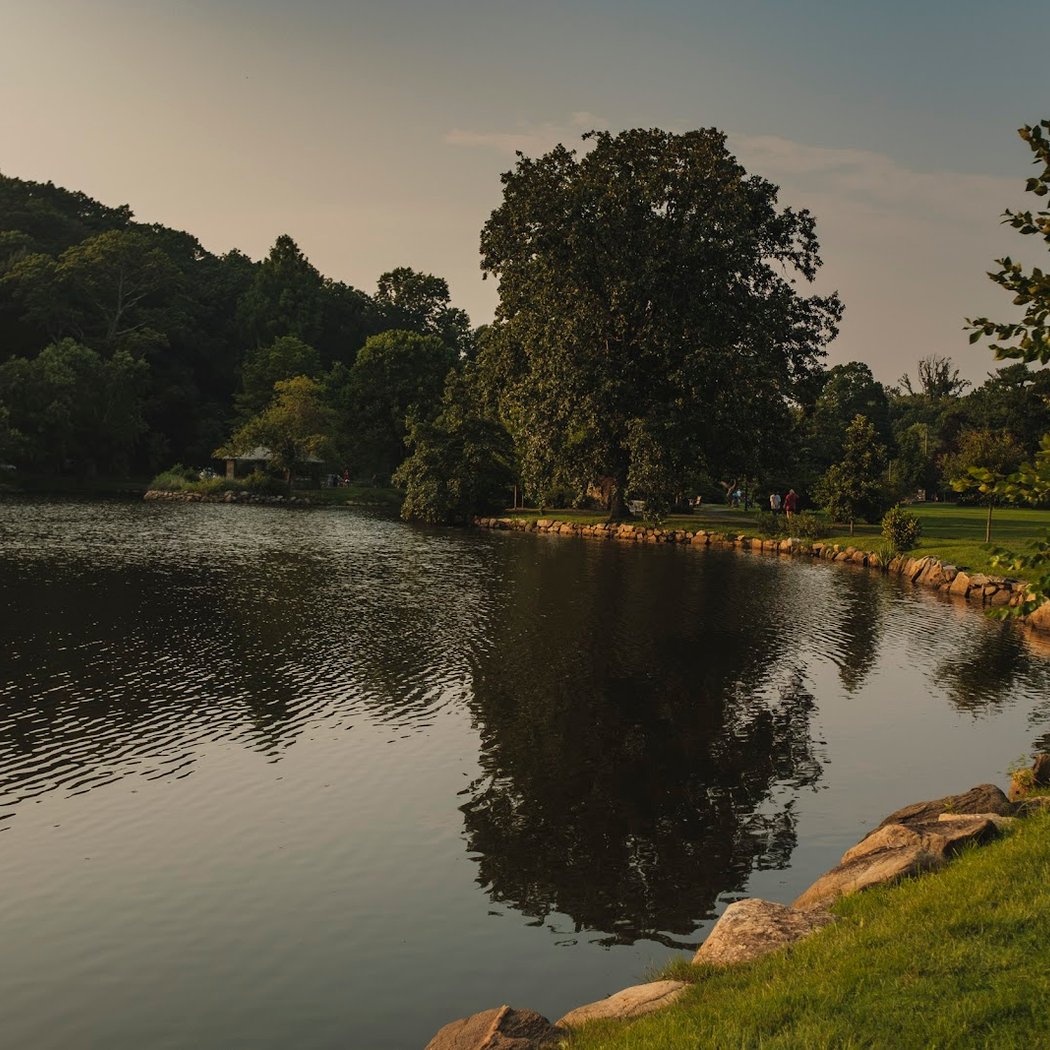 Binney Park 3