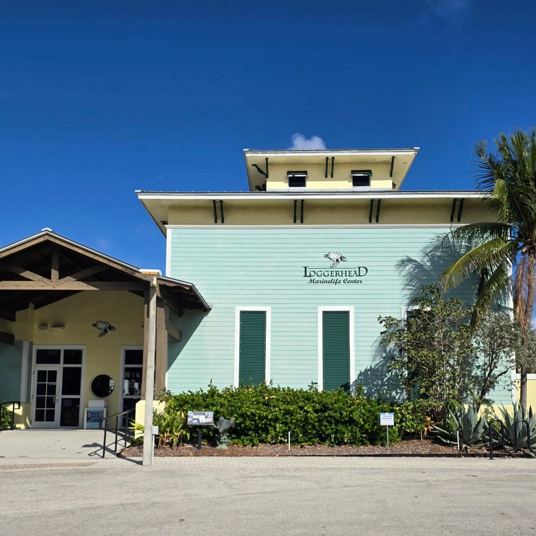 Loggerhead Marinelife Center 3